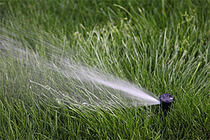 Sprinklers/Irrigation