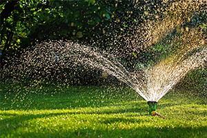 Sprinklers/Irrigation